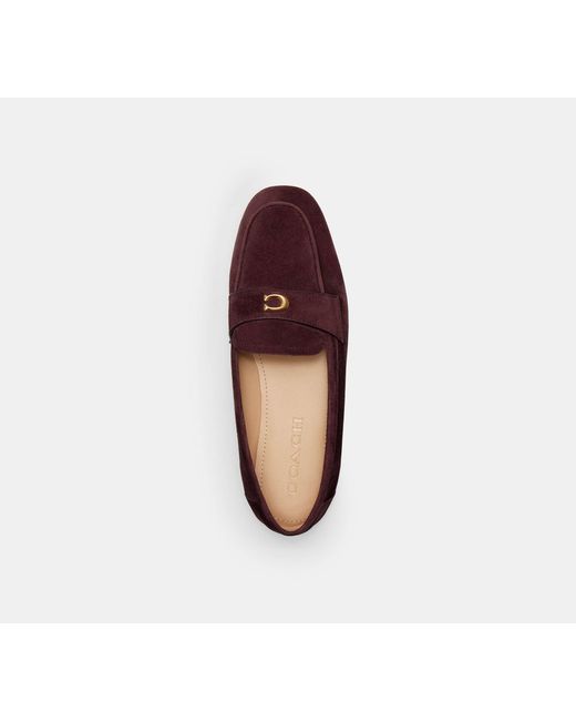 COACH Multicolor Sculpted C Loafer