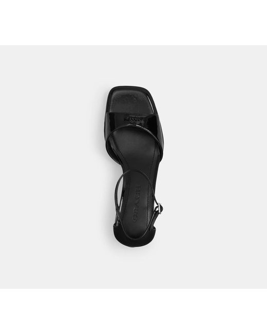 COACH Black Block Heel Sandal