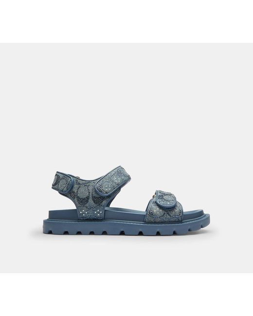 COACH Blue Brynn Sandal