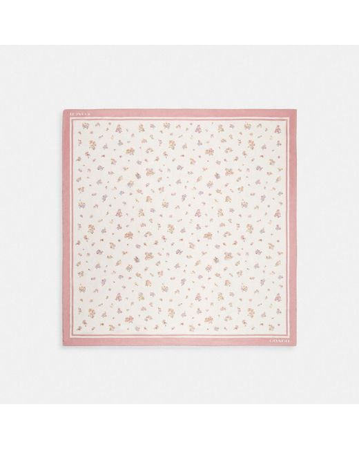 Écharpe carrée en soie à imprimé floral COACH en coloris Pink