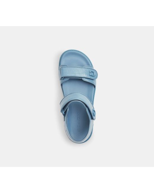 COACH Blue Brynn Sandal