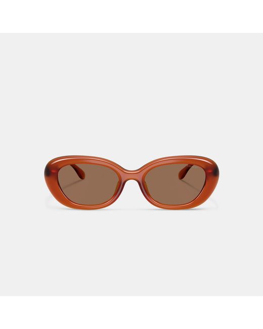 COACH Brown C Hardware Round Sunglasses