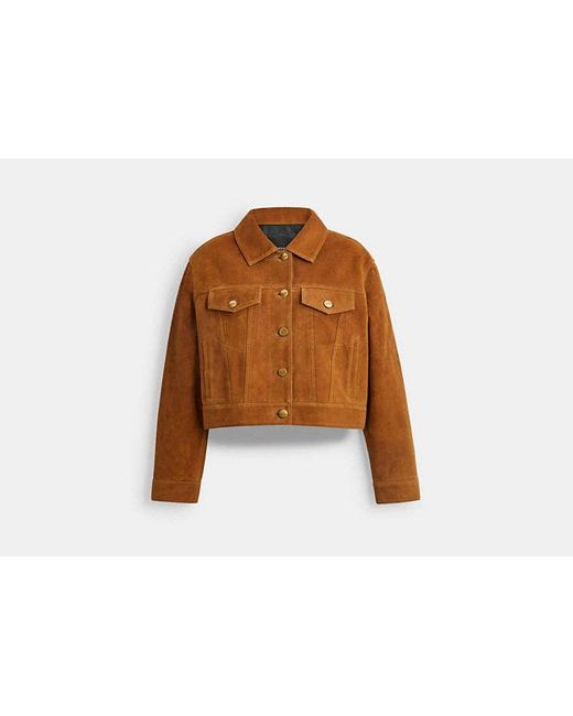 COACH Brown Cropped Suede Jacket