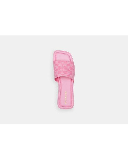 Sandale Florence en toile signature COACH en coloris Pink