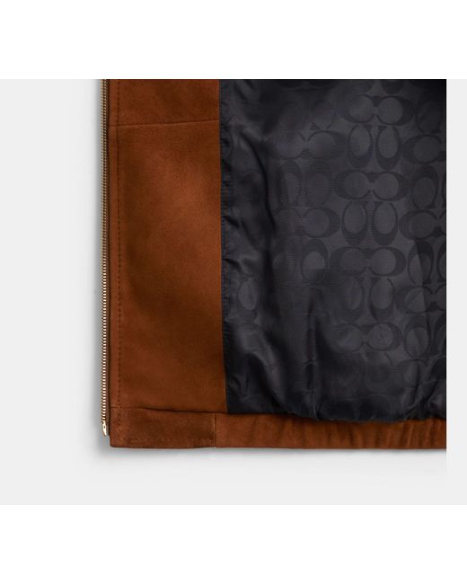 COACH Brown Heritage C Oversized Suede Bomber