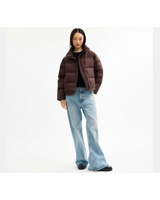 COACH Brown Signature Down Jacket