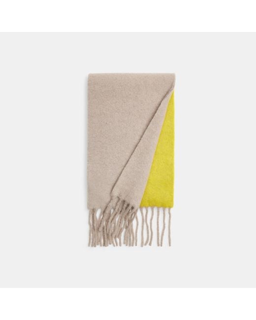 COACH Multicolor Colorblock Muffler With Rubber Patch