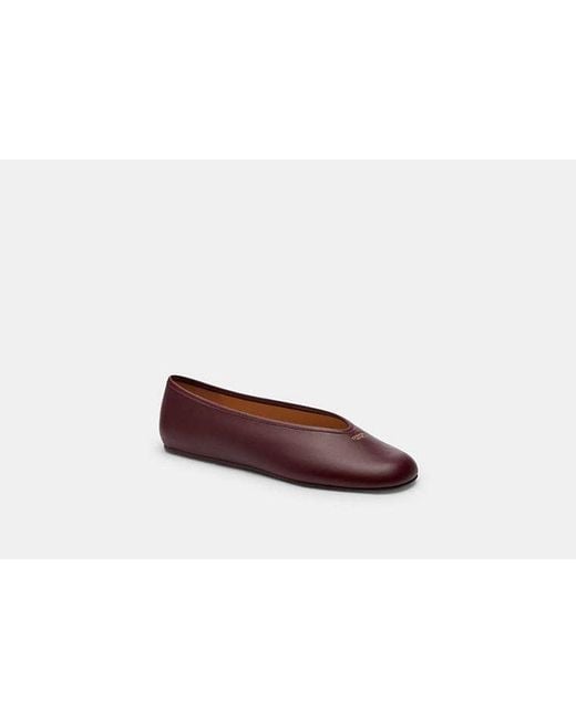 COACH Brown Ballet Flats 'Houston'