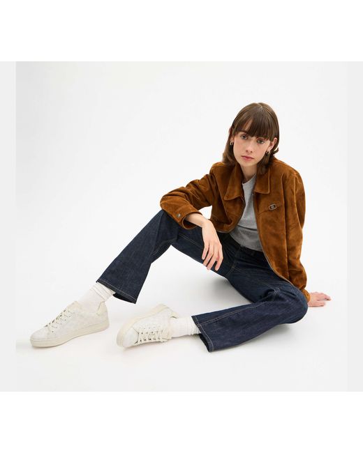 COACH Black High Line Sneaker