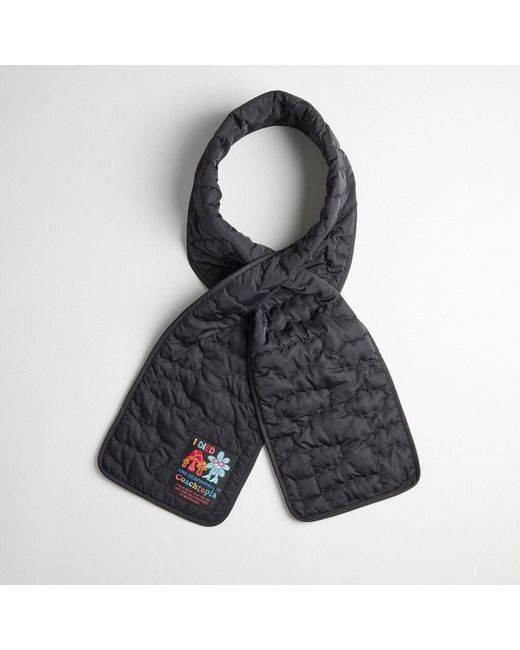 COACH Blue Topia Loop Quilted Cloud Scarf
