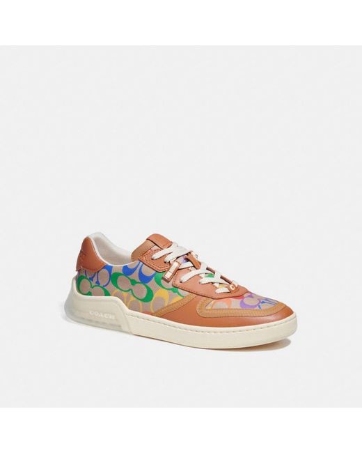 lowline low top sneaker in rainbow signature canvas
