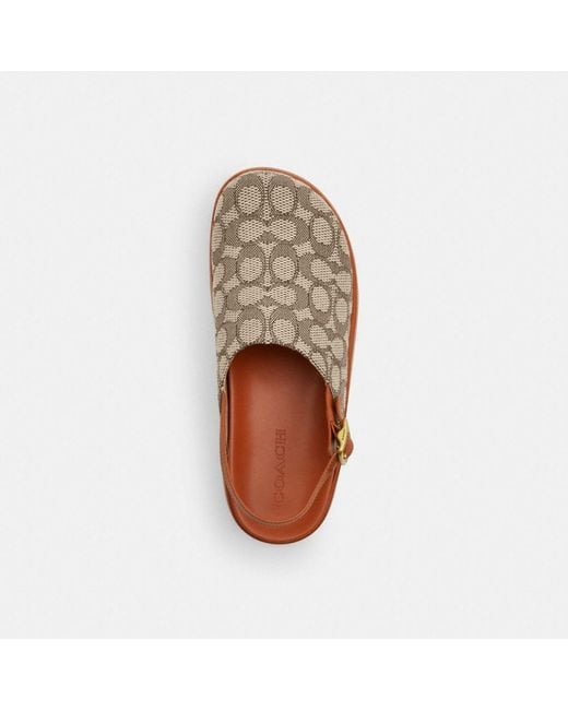 COACH Brown Sculpted C Platform Clog In Signature Textile Jacquard