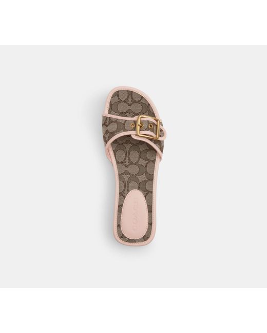 COACH Black Margot Wooden Sandal