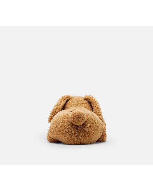 COACH Black Bunny Slipper