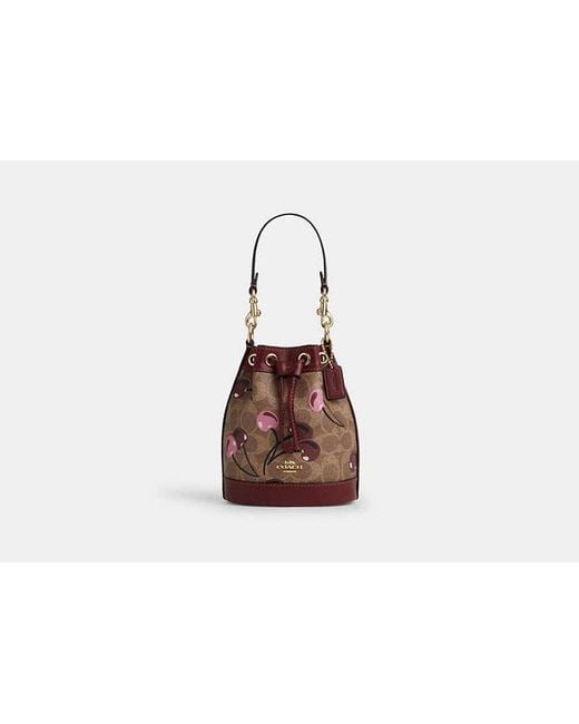 【Coach】 Mini Bucket Bag With Cherry Print ◆国内発送◆ NWT Coach Mini Bucket Bag In Signature Canvas With Cherry