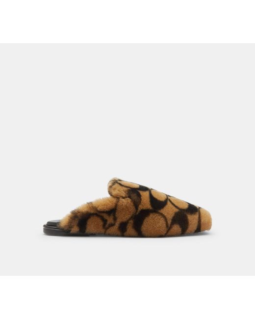COACH Black Slipper