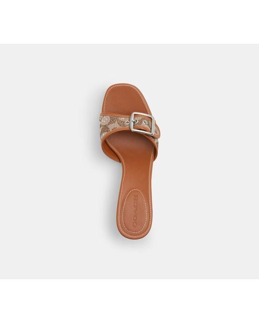 COACH Black Margot Sandal