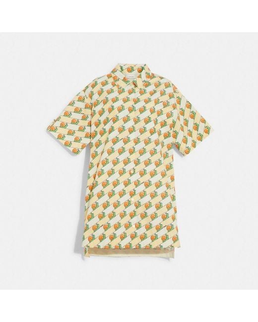 COACH Cotton Snail Print Shirt Dress in Yellow Lyst