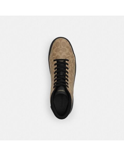 COACH Brown High Line High Top Sneaker In Signature Canvas for men