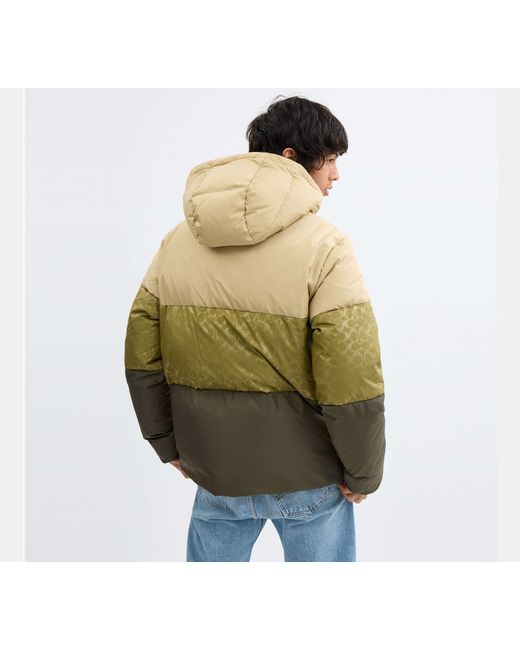 COACH Green Colorblock Down Jacket for men