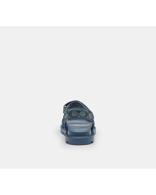 COACH Blue Brynn Sandal