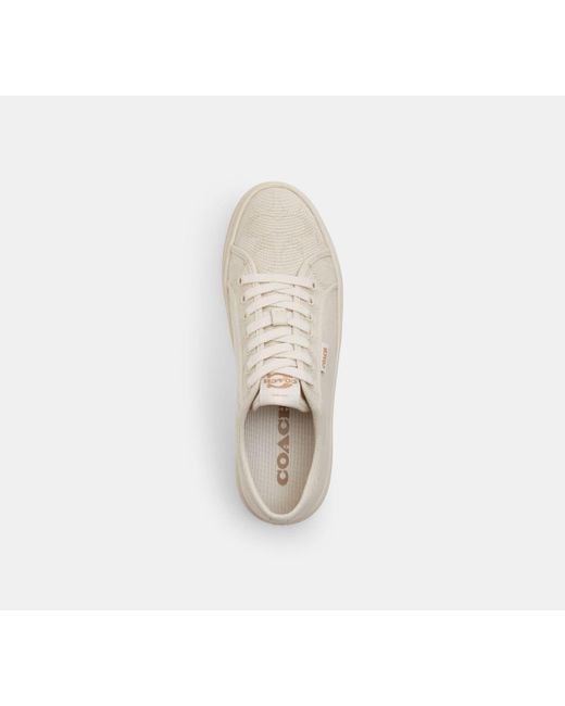 COACH Black Canvas Sneaker