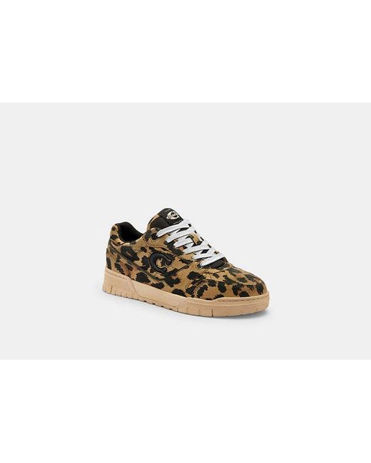 COACH Black Soho Sneaker With Leopard Print
