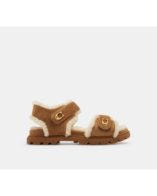 COACH Black Brynn Sandal