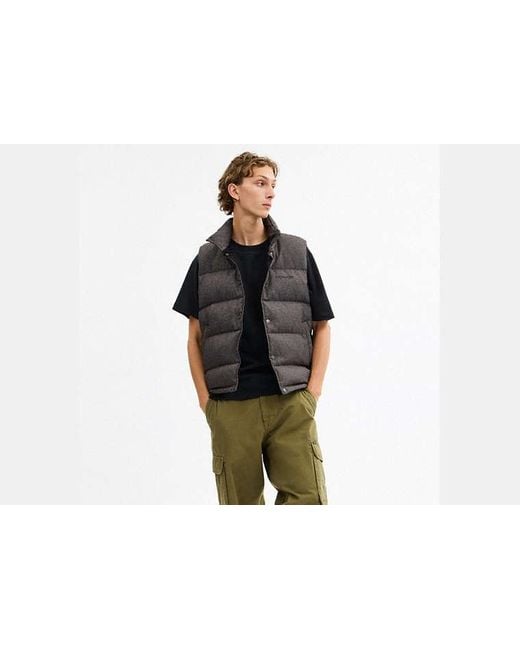 Chaleco De Plumón Liso COACH de hombre de color Black
