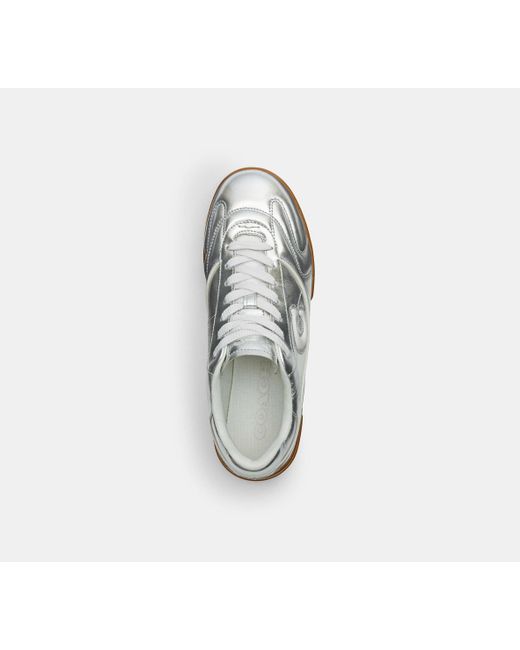 COACH Black Match Sneaker