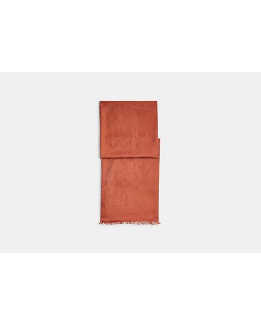 COACH Black Signature Wrap