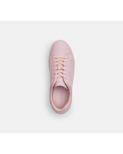 COACH Black High Line Sneaker