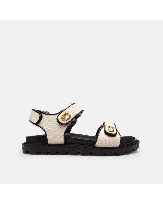 COACH Black Brynn Sandal