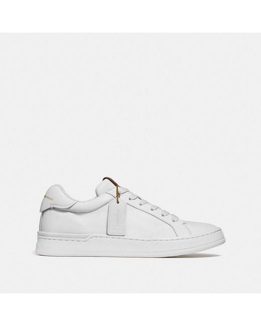 coach lowline low top sneaker