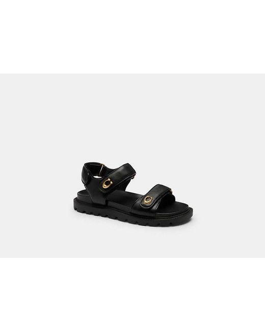 COACH Black Brynn Sandal