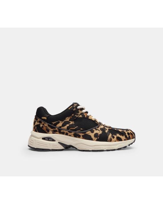 Scarpa Da Ginnastica Sport Con Stampa Leopardata di COACH in Black
