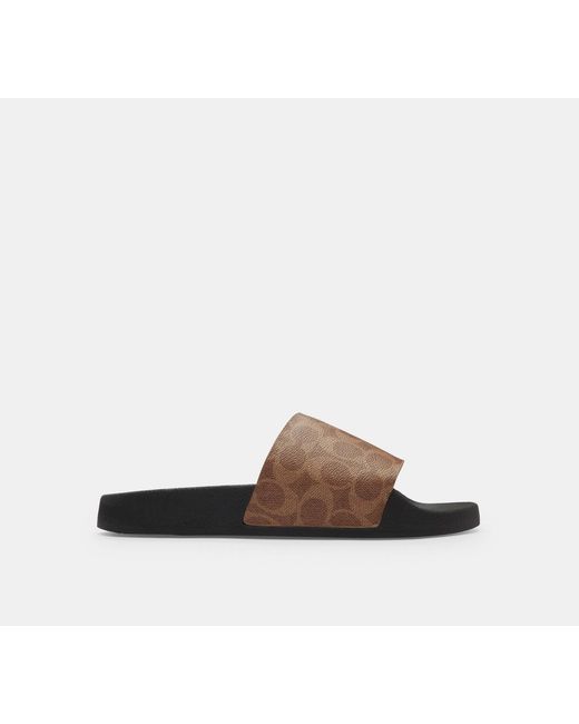 Slide di COACH in Black da Uomo