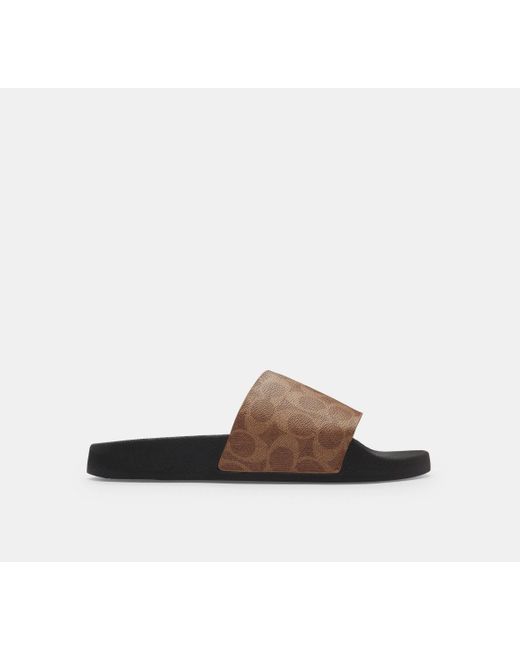 COACH Slide Aus Signature Canvas in Black für Herren