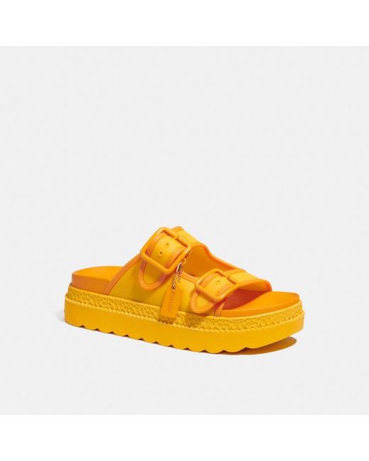 COACH Lucy Sandal in Yellow | Lyst Canada