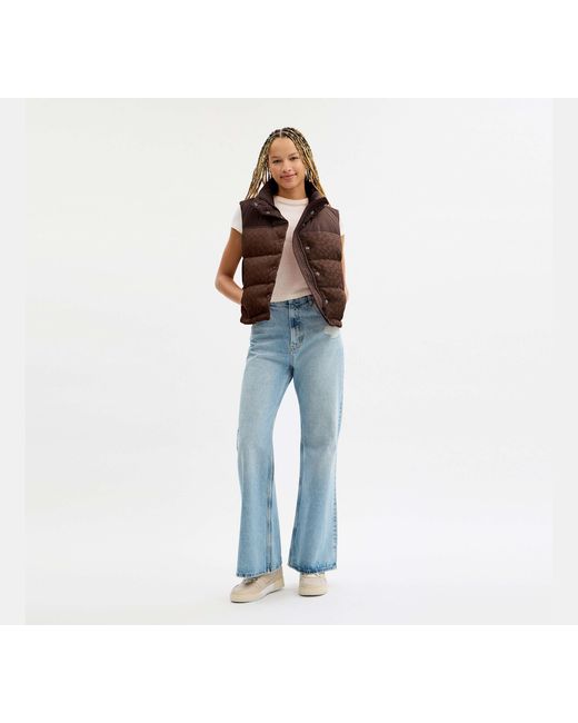 COACH Brown Signature Down Vest