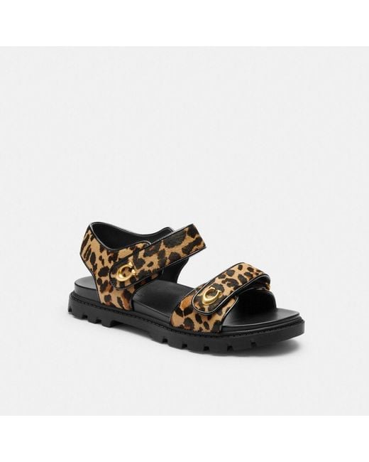 COACH Black Brynn Sandal Print Flat