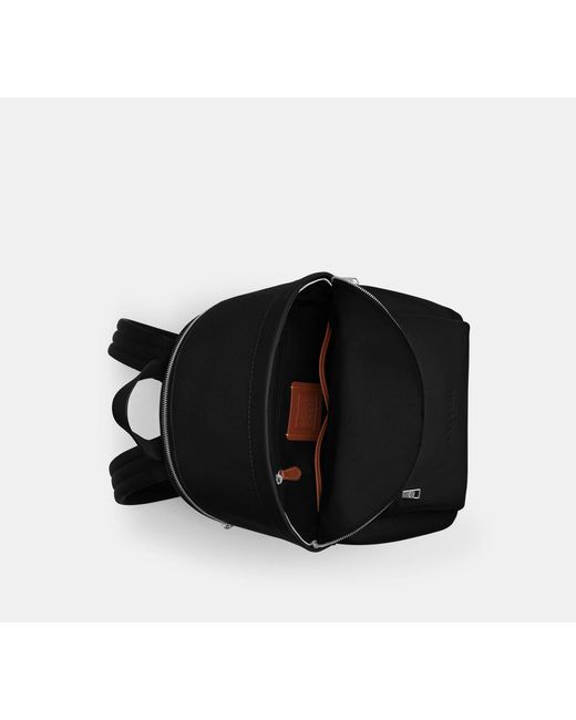 COACH Black Taylor Backpack for men