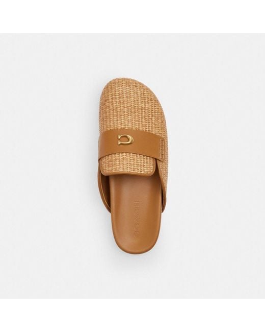 COACH Brown Sculpted C Clog