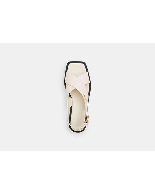 COACH Black Link Criss Cross Sandal