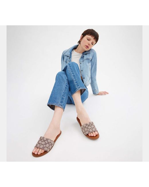 COACH Black Holly Sandal