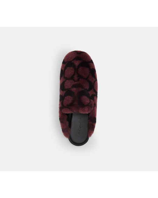 COACH Black Slipper