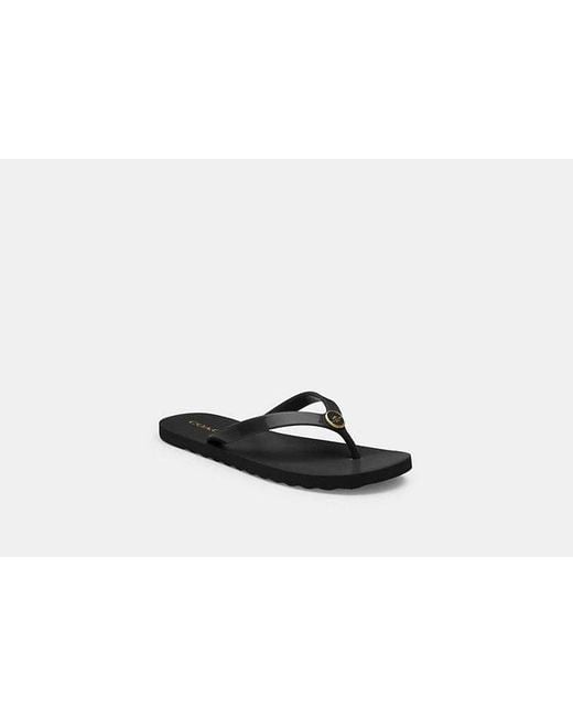 COACH Black Zayn Flip Flop