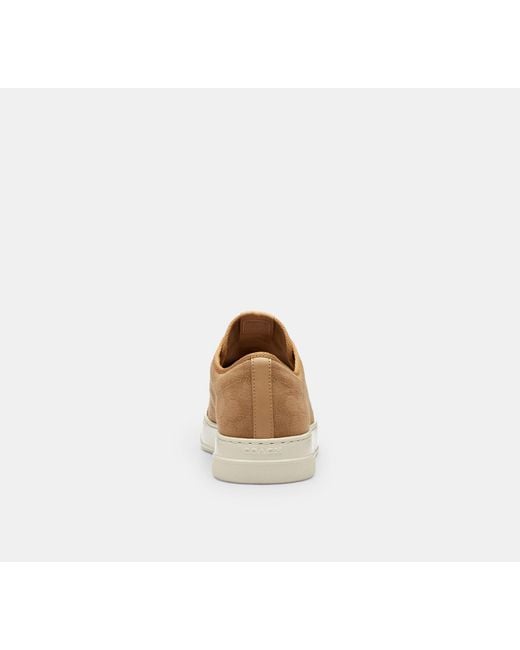 COACH Black Canvas Sneaker for men