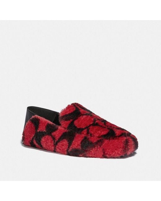 coach slippers on sale