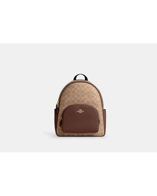 brown coach backpack Taylor Small  Outlet Americas A little (re)love goes a long way Coach Court Backpack In Signature